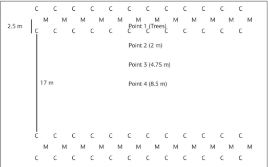 Figure 1. Representative sketch of the experimental area demonstrating the collection points of the silvopastoral system