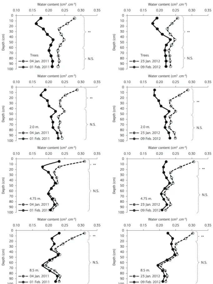 Figure 6. Soil moisture content variations (0-100 cm.) at four points in a silvopastoral system (row of trees and at 2.0, 4.75 and 8.5 m  from the row of trees in two soil moisture removal events (04 Jan