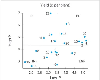 Figure 2. Yield performance of 20 bean genotypes as for the P  use effi   ciency, classifi ed into four categories: IR = Ineffi   cient and  Responsive; INR = Ineffi   cient and Non-Responsive; ER = Effi   cient  and Responsive; ENR = Effi   cient and Non-