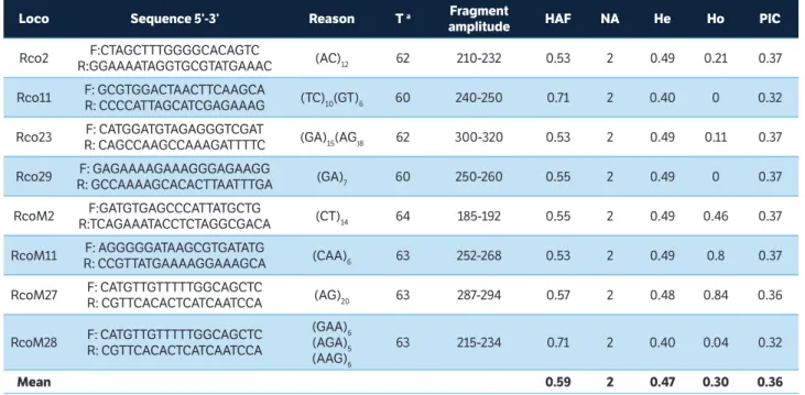 Table 1. Loci, SSR primer sequence, reason (microsatellite repeat), amplitude of fragments, high allele frequency, number of alleles per locus,  expected heterozygosity, observed heterozygosity, polymorphic information content in eight polymorphic loci ide