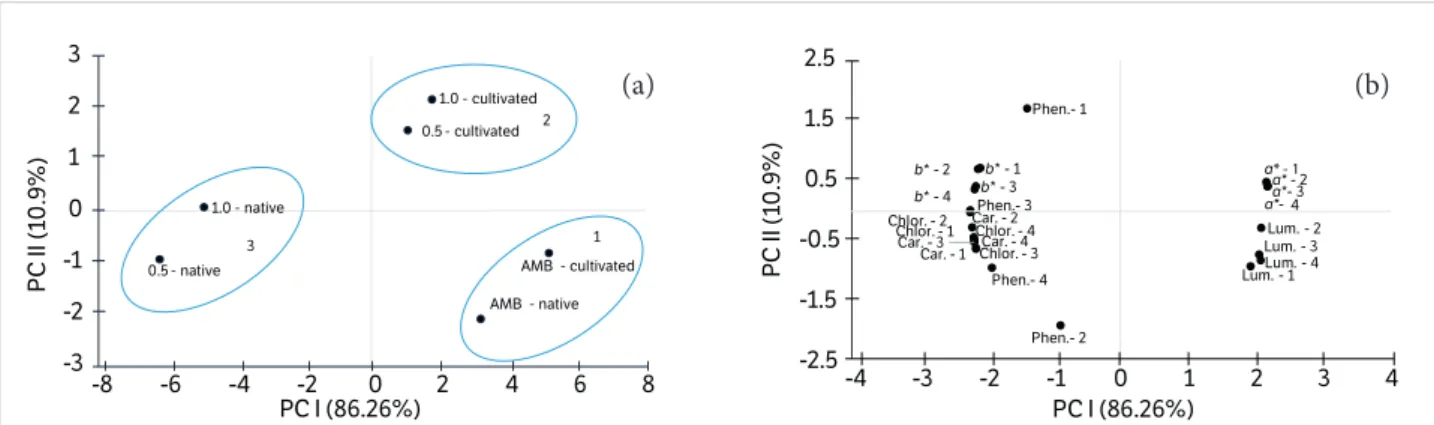 Figure 1. (a) Scores (treatments) and (b) loadings (variables) plots showing the two major principal components from the analysis of yerba  mate stored under controlled atmosphere with different O 2  partial pressures