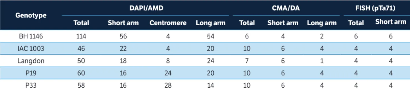 Table 3. Total number and arms (short and long) of 4’-6-Diamidino-2-phenylindole with Actinomycin D; Chromomycin A 3  with Distamycin  bands and FISH-rDNA 45S hybridization signals on chromosome complement of common wheat (BH 1146) and durum wheat (IAC 100