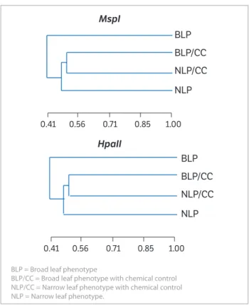 Figure 3. Dendrogram of genetic similarities among the phenotypes of  Conyza bonariensis with Methylation Sensitive Amplified Polymorphism  marker using the restriction enzymes MspI (a) and HpaII (b)