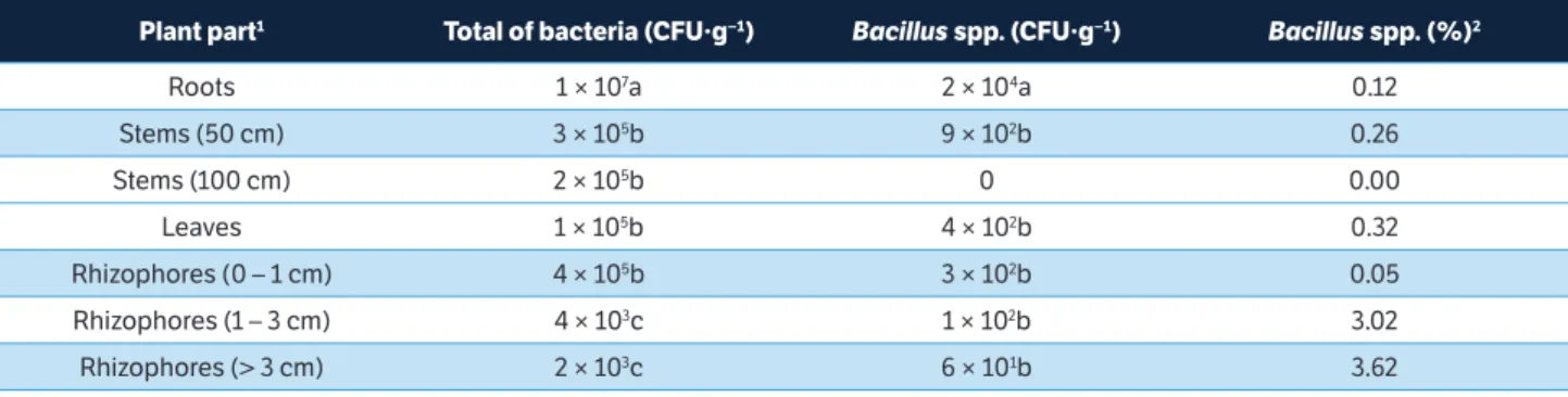 table 1. Population densities of total bacteria and Bacillus spp. in different parts of yam plants.