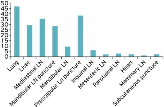 Table 1. Sequence of oligonucleotide primers for C. pseudotuberculosis detection adapted of Pacheco et al