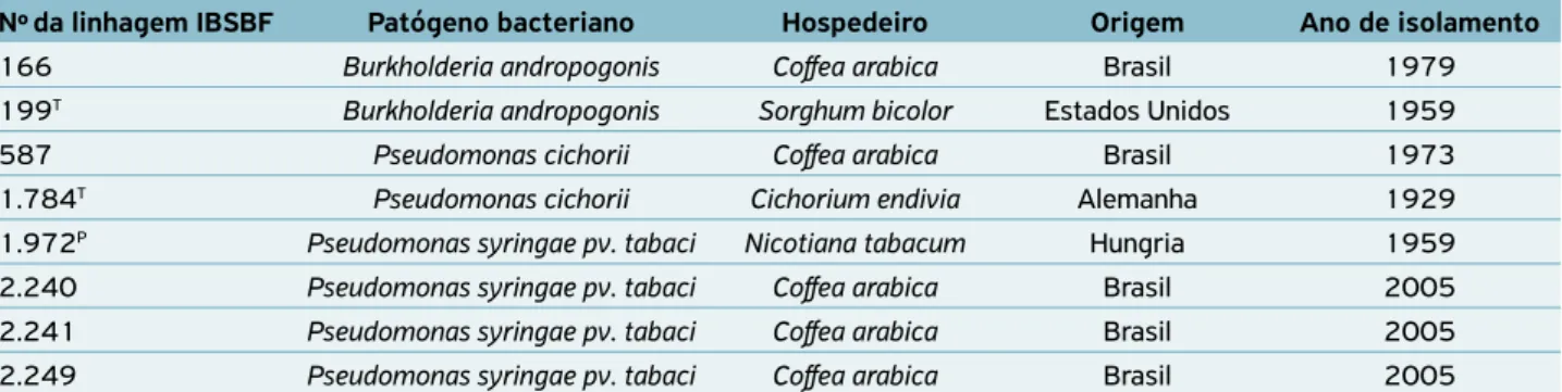 Tabela 2.  Linhagens de bactérias fitopatogênicas que causam sintomas de manchas foliares em cafeeiros.