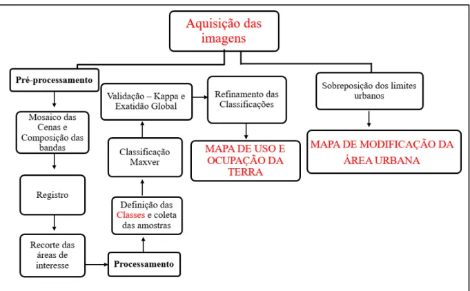 Figura 2  –  Fluxograma dos procedimentos metodológicos 