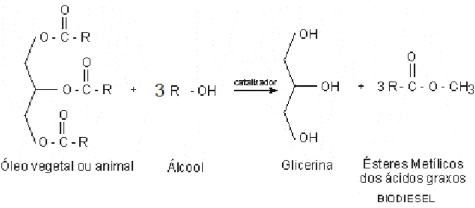 Figura 2. Reação de transesterificação de triacilglicerídeos para a síntese de ésteres