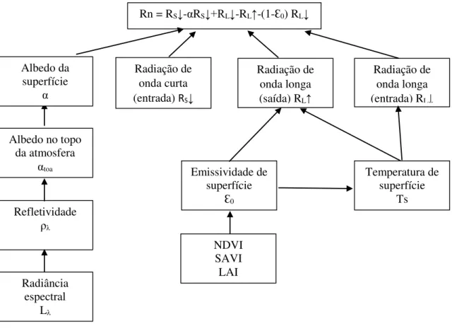 Figura 1. Organograma do cálculo do saldo de radiação à superfície (Rn). 