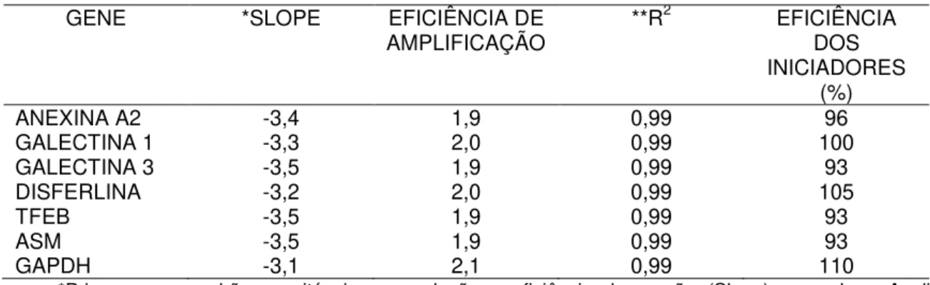 TABELA 6: validação dos iniciadores para a RT-qPCR. 