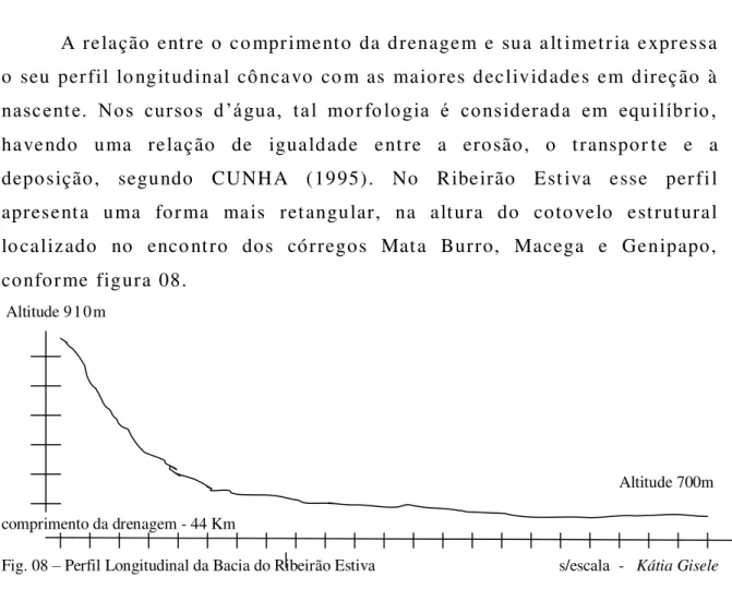 Fig. 08 – Perfil Longitudinal da Bacia do Ribeirão Estiva                                             s/escala  -   Kátia Gisele