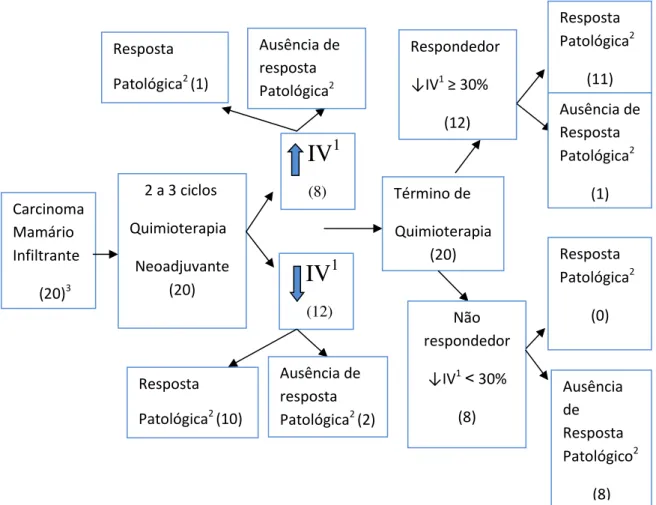 Figura  1:Diagrama  de  avaliação  de  resposta  ao  Power  Doppler.  1  =  Índice  de  Vascularidade;  2  =  Resposta Patológica (≤ pT1 e N0); Ausência de Resposta Patológica (&gt; pT1 e/ou &gt; pN0); 3 = número de  pacientes avaliadas em cada momento