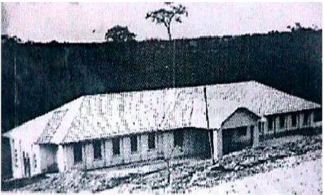 Figura 03 – Balneário municipal, Caldas Novas (GO), 1940. 