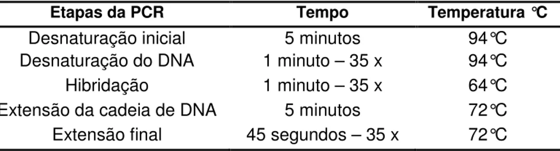 Tabela 2. Desenho do programa utilizado para amplificação do fragmento de DNA  de Mycobacterium bovis