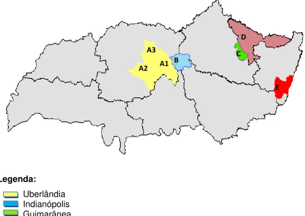 Figura  2.  Localização  dos  cinco  municípios  estudados  nas  microrregiões  da  mesorregião do Triângulo Mineiro e Alto Paranaíba, MG, 2009