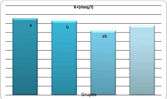 Fig, 3- Resultados da análise laboratorial de potássio (K +)  nos grupos. O K +  foi mais baixo no grupo H