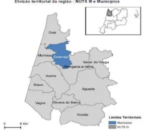 Figura 1 – Divisão Territorial da região: NUTS III  e Municípios 