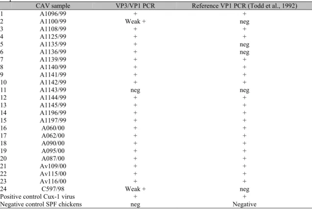 Table 2. Results of the VP3/VP1 PCR with primers VP3f/VP1r, and the VP1 PCR with primers  Cav4a/Cav4b for direct diagnosis of CAV in field organ tissues from broiler chicken flocks with lesions  suspected of chicken infectious anemia 