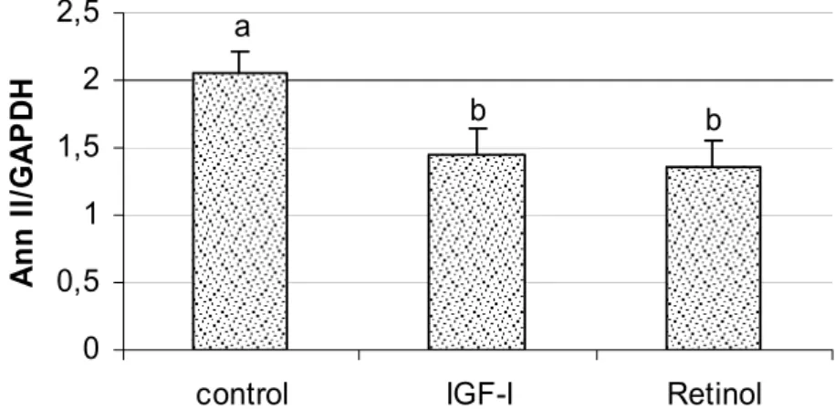 Figure 3. Semiquantitative expression of Ann-II in bovine embryos. The embryos were cultured in SOF  medium (control) or SOF supplemented with 10ng IGF-I/ml or 0.1ng retinol/ml