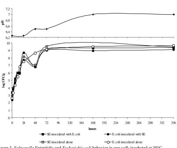 Figure 3. Salmonella Enteritidis and Escherichia coli behavior in egg yolk incubated at 30°C