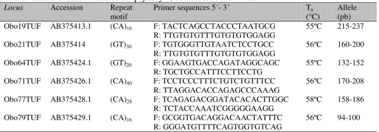 Table 1. Clones of microsatellites of &#34;pejerrey&#34; Odontesthes bonariensis 