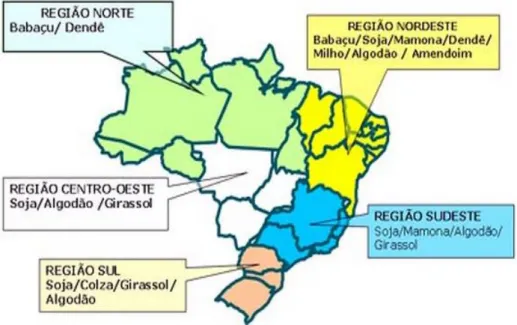 Figura 4: Potencial de produção de oleaginosas por região [26]. 
