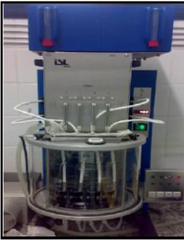 Figura 7: Analisador de viscosidade automático utilizado para determinação de   viscosidade  do óleo e dos biodieseis