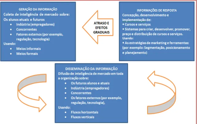 Figura 3 - Modelo Teórico da OM nas Universidades 