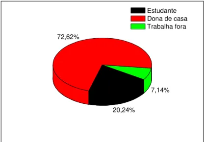 Gráfico 7 - Número de gestantes e mães adolescentes segundo a profissão 