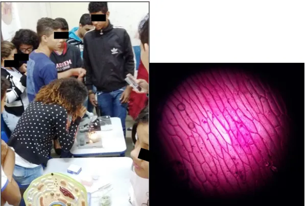 Figura 10  –  Visualização de lâmina no microscópio por grupo de alunos/as (A)  e imagem de lâmina de cebola registrada pelo telefone celular na ocular do 