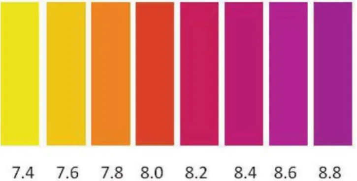 Figura 2: Escala colorimétrica de variação do pH para o indicador púrpura de metacresol 
