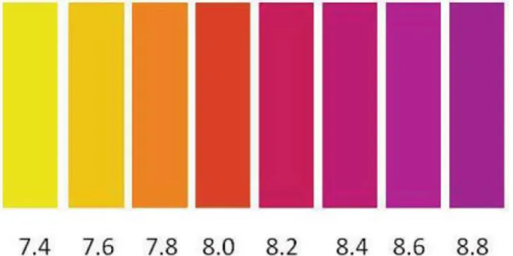 Figura 4: Escala colorimétrica de variação do pH para o indicador púrpura de metacresol