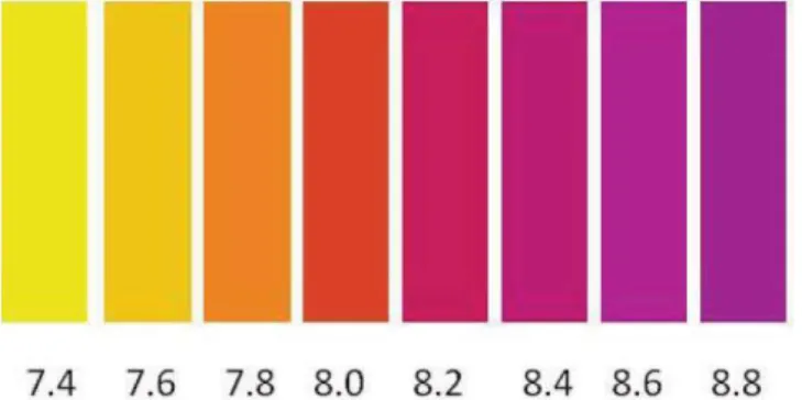 Figura 2: Escala colorimétrica de variação do pH para o indicador púrpura de metacresol 