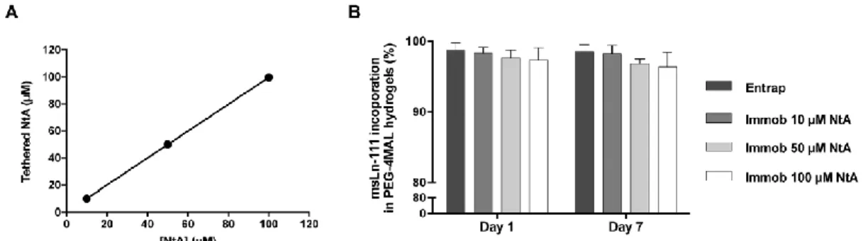 Fig. 2 Effect of NtA concentration on laminin incorporation (A) density of NtA tethered to PEG-4MAL  hydrogel  as  a  function  of  input  NtA  concentration