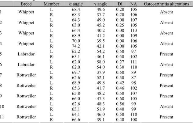 Table 2. Distribution of values of α and γ angles, DI and NA, and qualitative evaluation of coxofemoral  articulations of dogs  
