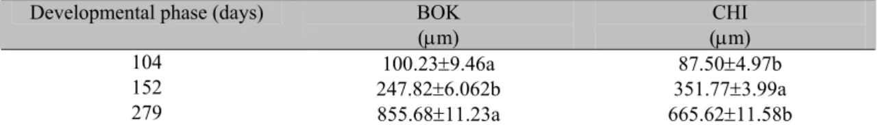 Table 1. Oocytes diameter means of Bouaké (BOK) and Chitralada (CHI) strains at different  developmental phases; initial (104 days of culture), intermediate growth (152 days of culture), and final  growth (279 days of culture) 