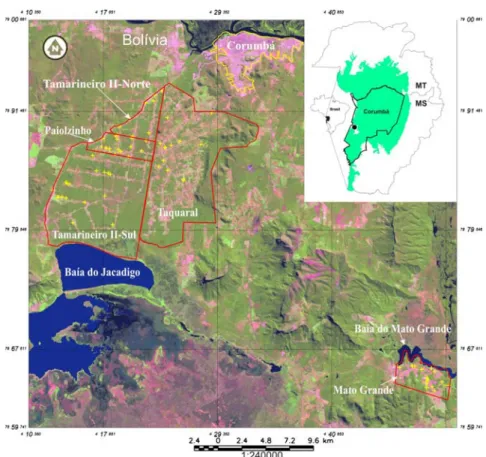 Figura 1. Localização do Pantanal brasileiro (cor verde) e do município de Corumbá, MS