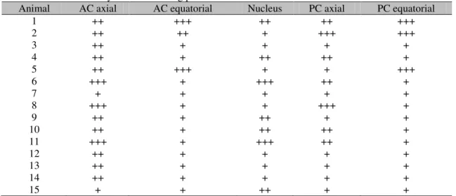 Table 3. Lens consistency observed during phacoemulsification in different lens areas  