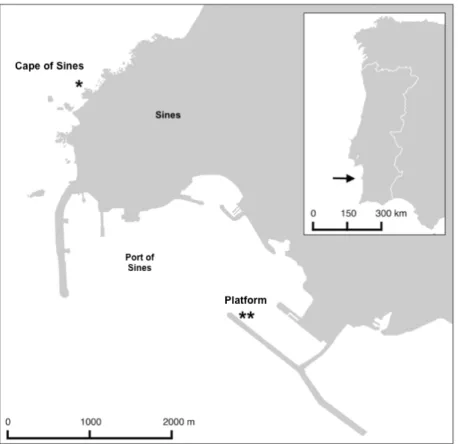 Figure   1   -­‐   Location   of   barticle   deployment   site   at   the   Cape   of   Sines   (*)   and   location   of   the   floating   platform    at   the   bay   of   the   Port   of   Sines   (**),   and   its   relative   position   in   relatio