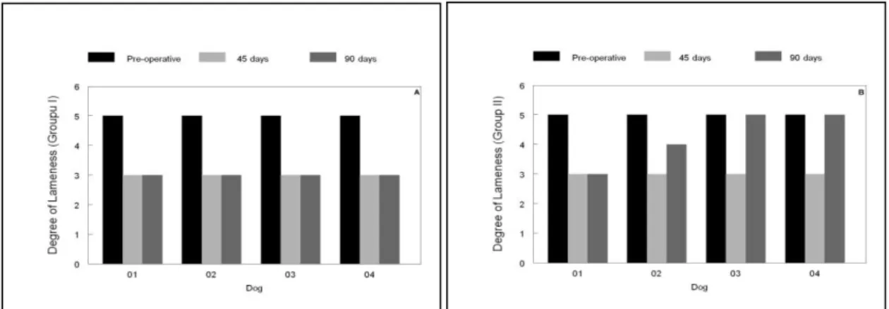 Figure  1.  Degree  of  lameness  in  dogs  with  rupture  of  the  cranial  cruciate  ligament  submitted  to  extracapsular surgical stabilization