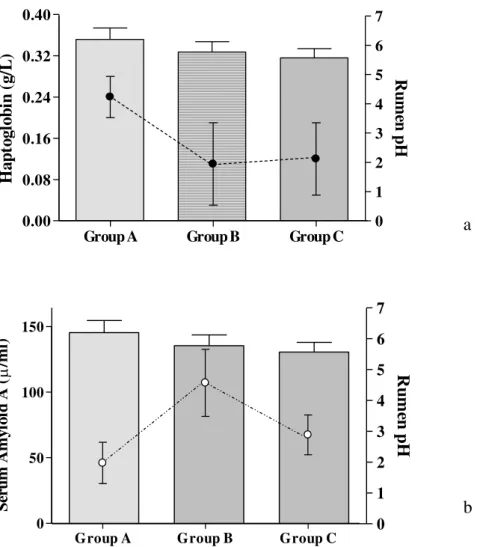 Figure  1.  Patterns  of  the  Rumen  pH,  some  Acute  Phase  Proteins  (Haptoglobin(a)  and  Serum  Amyloid  A(b)) in relation to the sub-acute ruminal acidosis (SARA), in 108 dairy cows, divided into three groups  based on the rumen pH values: Group A (