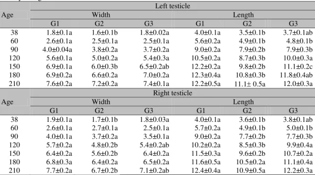 Table 2. Length and width (cm) (mean±SEM) of the right and left testicles of hybrid male pigs from 38 to  210 days of age  Age  Left testicle Width  Length     G1    G2     G3     G1    G2    G3 