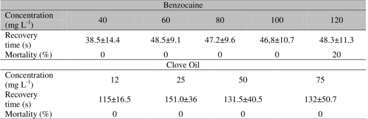 Table  1.  Recovery  time  from  the  anesthesia  state  and  mortality  of  pejerrey  fingerlings  (Odontesthes  bonariensis) submitted to benzocaine and clove oil