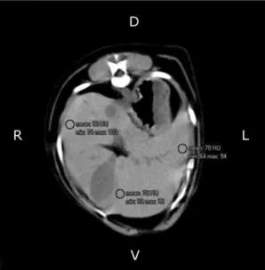 Figure 2. Transverse computed tomography image  of a dog’s abdomen demonstrating the selection of  one region of interest (small black circle) in order  to  measure  the  splenic  radiodensity  in  Hounsfield  units