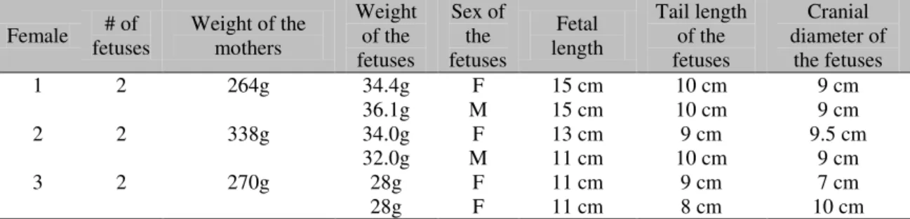 Table 1. Weight of the female Callithrix jacchus that underwent cesarean section surgery and biometry of  their respective offspring 