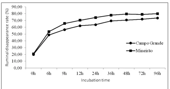 Figure 1. Average (%) Dry Matter disappearance of cultivars Mineirão and Campo Grande, according to  incubation time (hours)