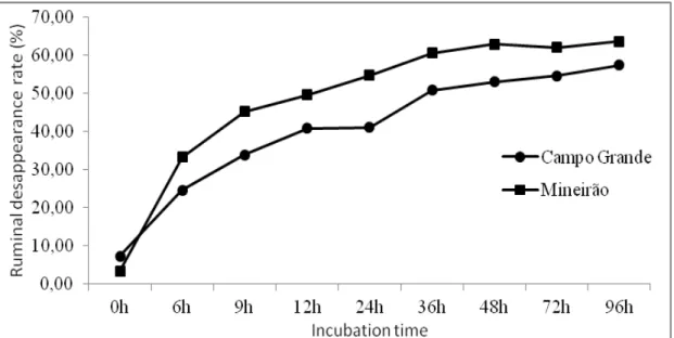 Figure  2.  Average  (%)  Neutral  Detergent  Fiber  disappearance  rate  of  cultivars  Mineirão  and  Campo  Grande, according to incubation time (hours)