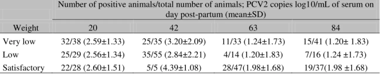 Table 5. Number of PCV2 viremic animals and viral load in the serum of piglets on days 1, 21, 42, 63 and  84 postpartum per weight categories 