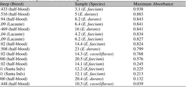 Table  4.  Maximum  absorbance  achieved  by  enterococci  samples  isolated  from  sheep  milk  after  18h  incubation at 37 0 C in presence of 0.3% of oxgall 