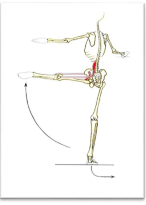 Figura 5 – Esquema corporal do Relevé Lent 